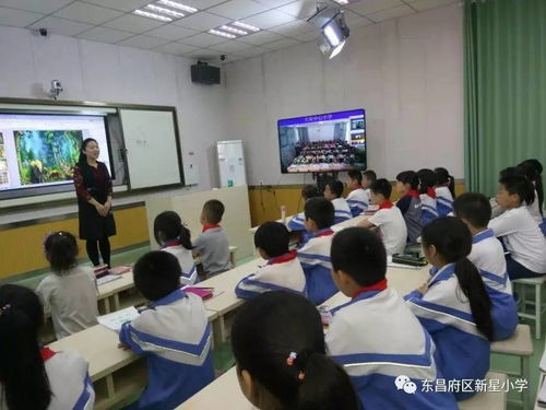 放飛想象，快樂共享 新星小學(xué)與大榮小學(xué)美術(shù)互動課堂紀(jì)實(shí)